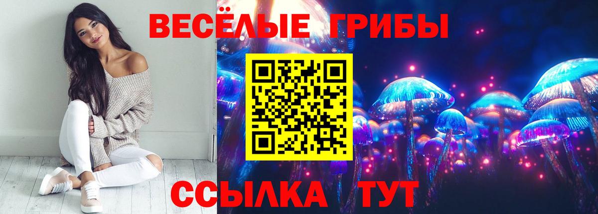 как найти   Галлюциногенные грибы Magic Shrooms  Вход с VPN  Псилоцибиновые грибы Psilocybe  Семилуки 